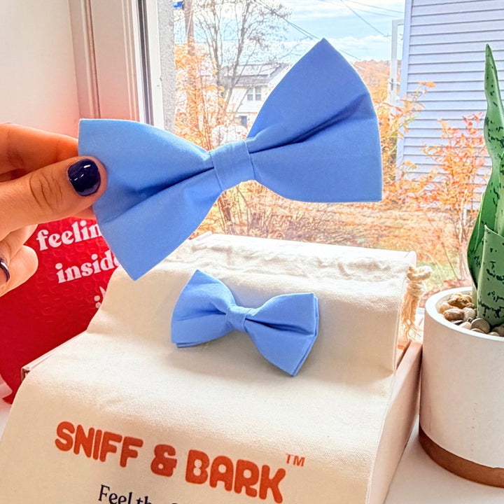 Dog bowtie - light blue - for collar attachment.
