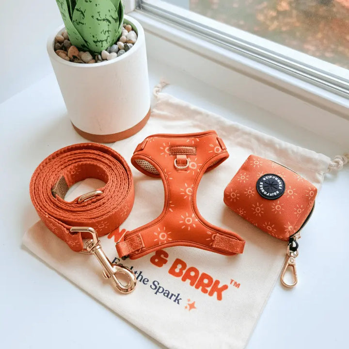 Amber Suns AllSet™ Harness Matching Bundle (D Ring)