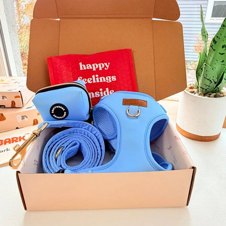 Baby Blue AllSet Harness Matching Bundle (D Ring) – Sniff & Bark dog accessory