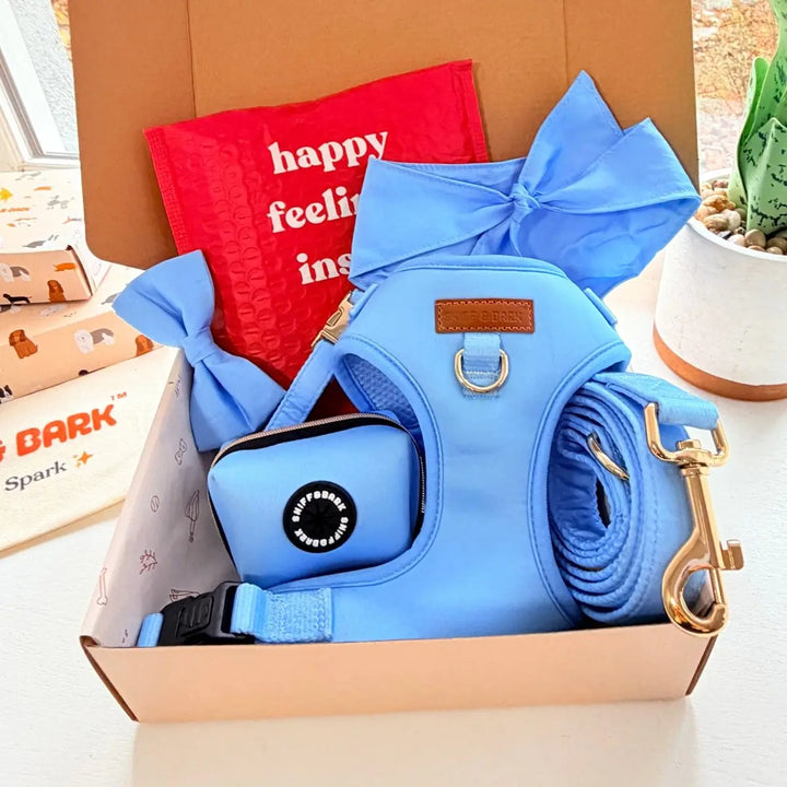 Baby Blue Dappertie - Mega Bundle Match (D Ring) – Sniff & Bark dog accessory
