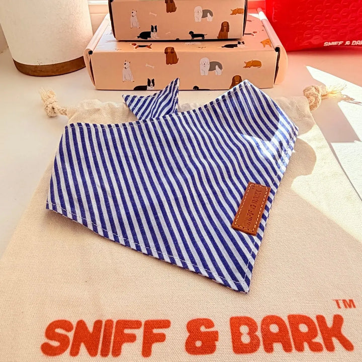 Blue Stripes Flairtie Bandana – 100% Cotton – Sniff & Bark dog accessory