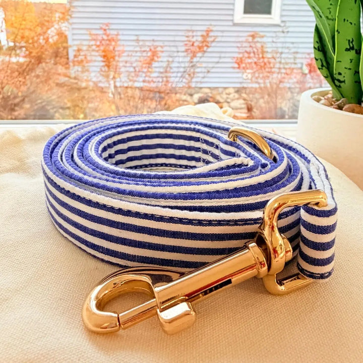 Blue Stripes Dappertie™ - Mega Bundle Match (D Ring) Bow Mega Bundles Sniff & Bark™