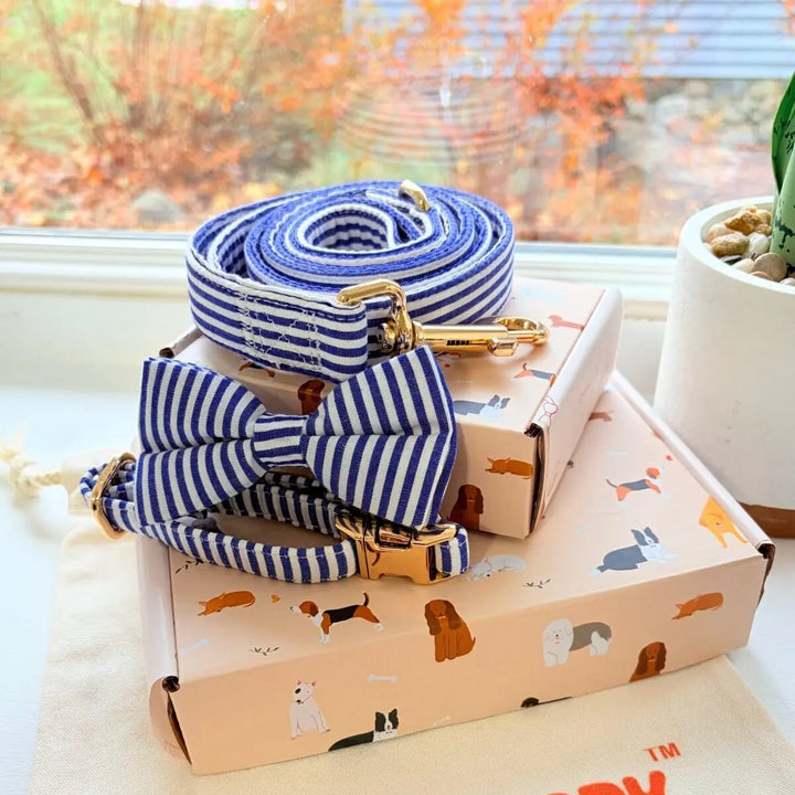 Blue Stripes Dappertie™ - Mega Bundle Match (D Ring) Bow Mega Bundles Sniff & Bark™