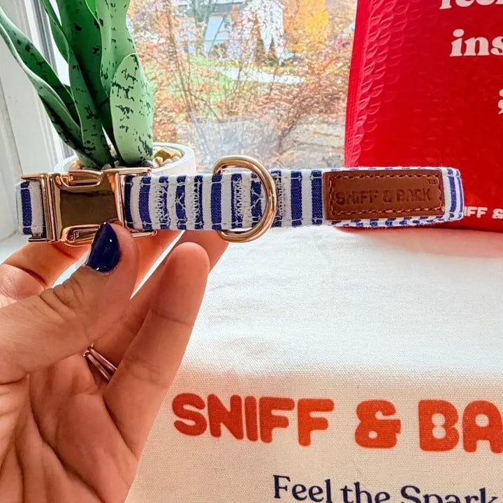 Blue Stripes Signature Band™ - Crafted Collar Collar Only Sniff & Bark™