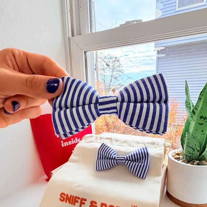 Blue Stripes Signature Band™ + Slide-On Dappertie™ + Joyline™ Bowtie Collar & Leash Set Sniff & Bark™