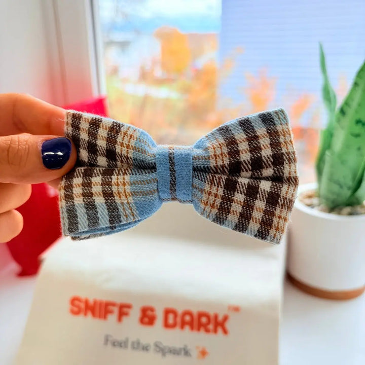 Blue Teddy Dappertie – Sleek Slide-On Bowtie – Sniff & Bark dog accessory