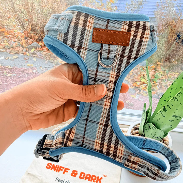 Blue Teddy Plaid No Pull Harness – Adjustable Bliss (D Ring) – Sniff & Bark dog accessory