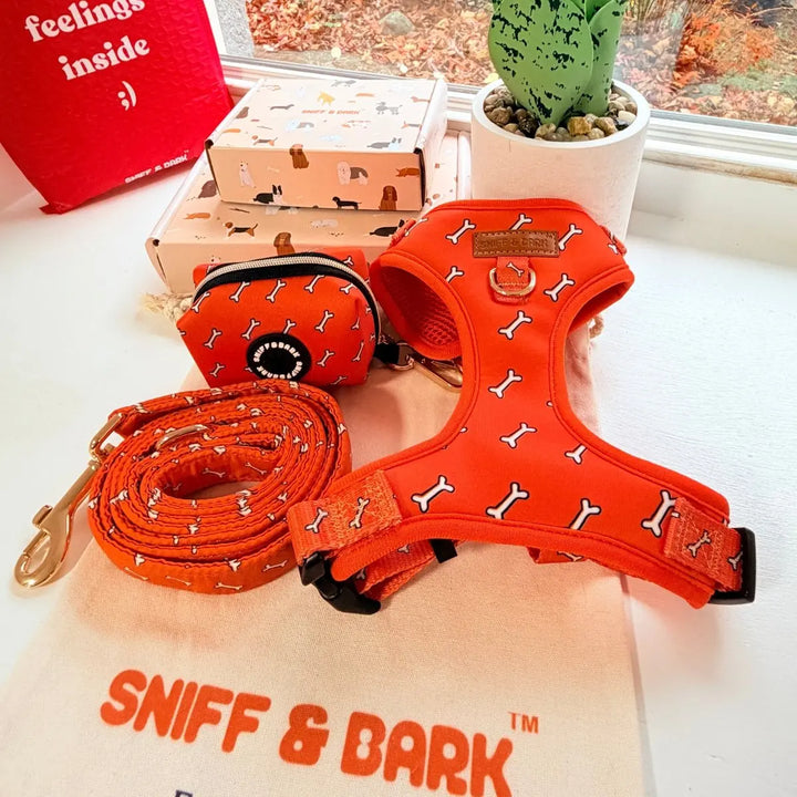 Coral Fetch AllSet Harness Matching Bundle (D Ring) – Sniff & Bark dog accessory