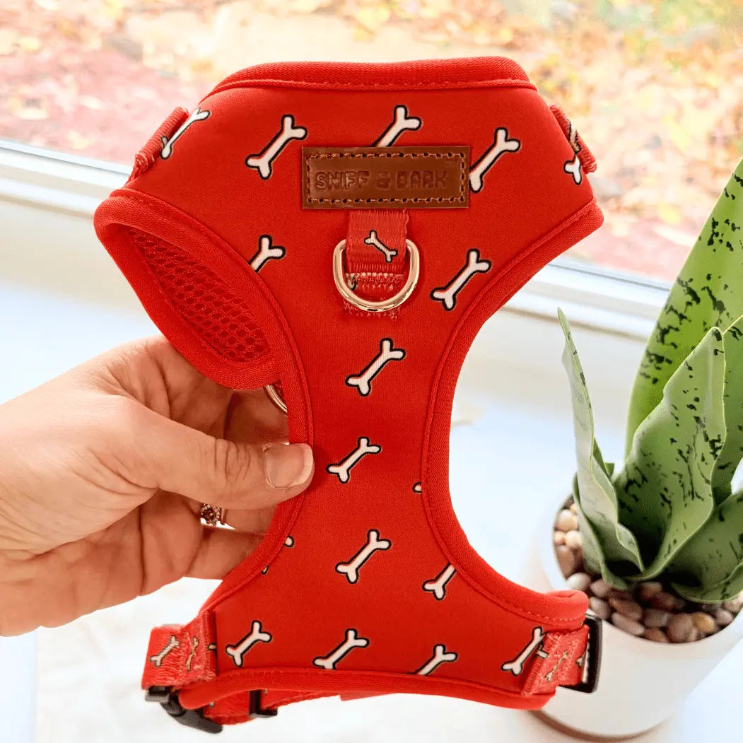 Cute & Safe Easy Walk. Comfy Padded, Adjustable, Cushioned