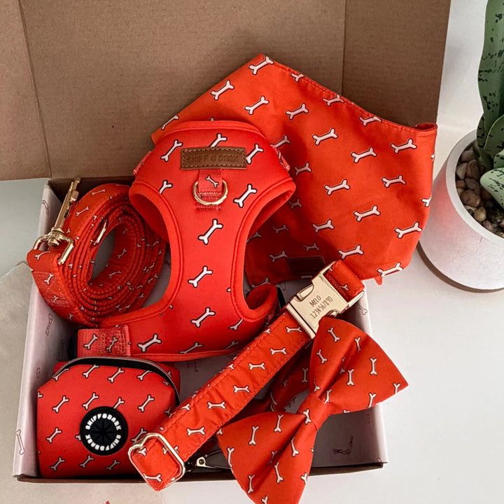 Coral Fetch Dappertie - Mega Bundle Match (D Ring) – Sniff & Bark dog accessory