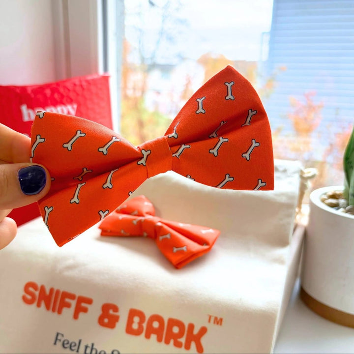 Coral Fetch Dappertie – Sleek Slide-On Bowtie – Sniff & Bark dog accessory