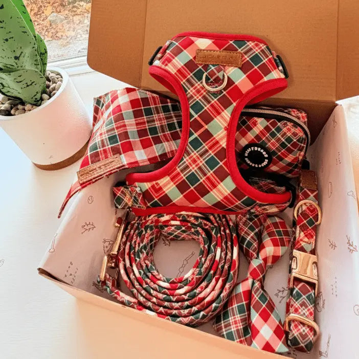 Garnet Plaid Bow Dappertie - Mega Bundle Match (D Ring) – Sniff & Bark dog accessory