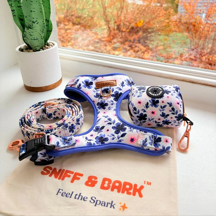 Ink Ivy Bloom AllSet Harness Matching Bundle (D Ring) – Sniff & Bark dog accessory