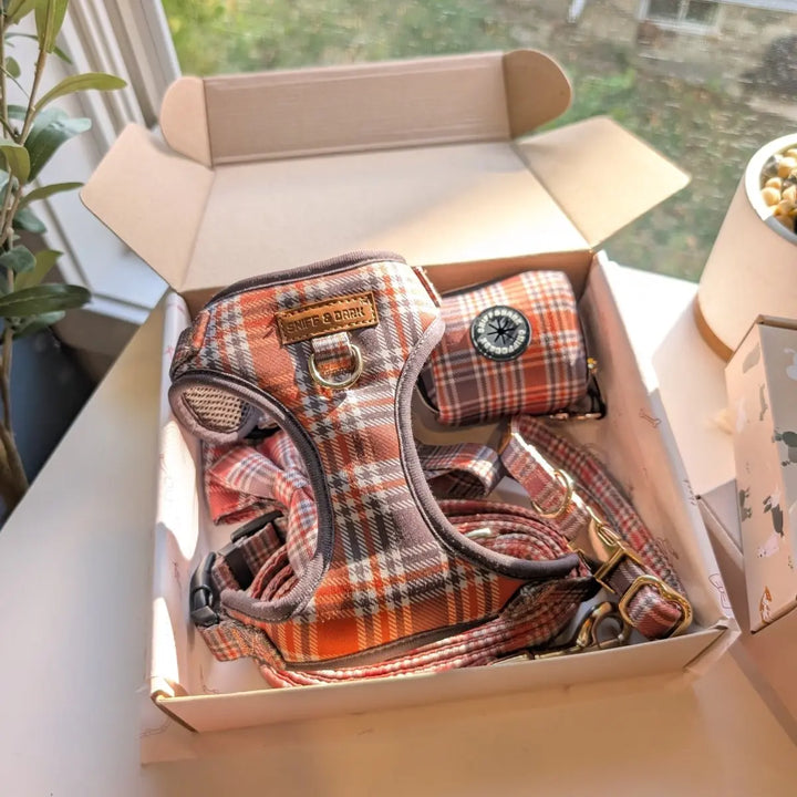 Maple Plaid Bow Dappertie - Mega Bundle Match (D Ring) – Sniff & Bark dog accessory