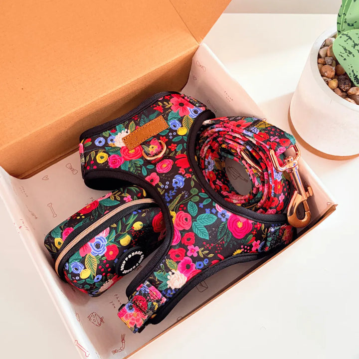 Midnight Floral AllSet Harness Matching Bundle (D Ring) – Sniff & Bark dog accessory