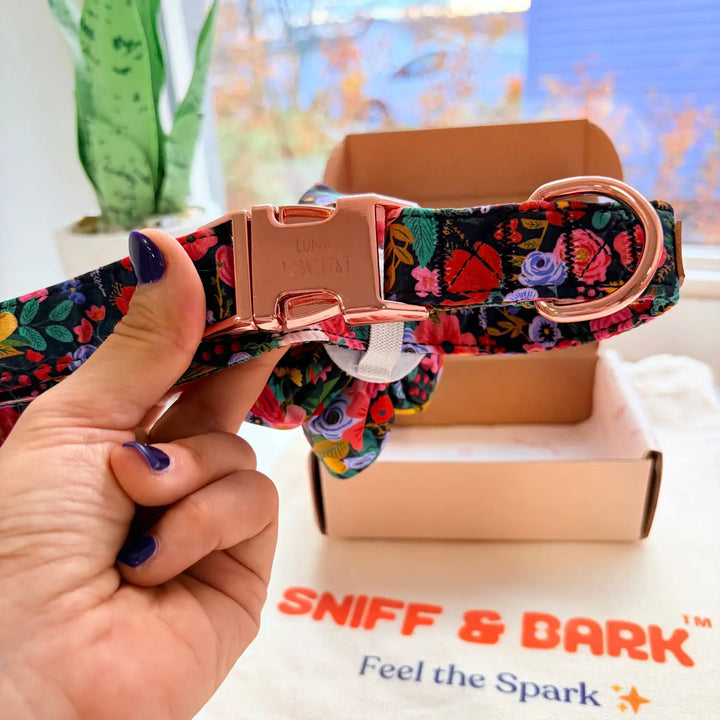 Midnight Floral Signature Band™ + Slide-On Bloomtie™ + Joyline™ Flower Collar & Leash Set Sniff & Bark™