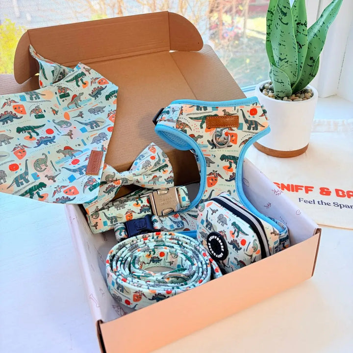 Mint Snappy Dino Dappertie - Mega Bundle Match (D Ring) – Sniff & Bark dog accessory