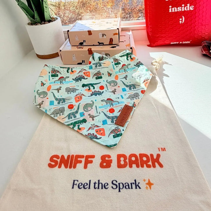 Mint Snappy Dino Flairtie™ Bandana – 100% Cotton Bandana Sniff & Bark™