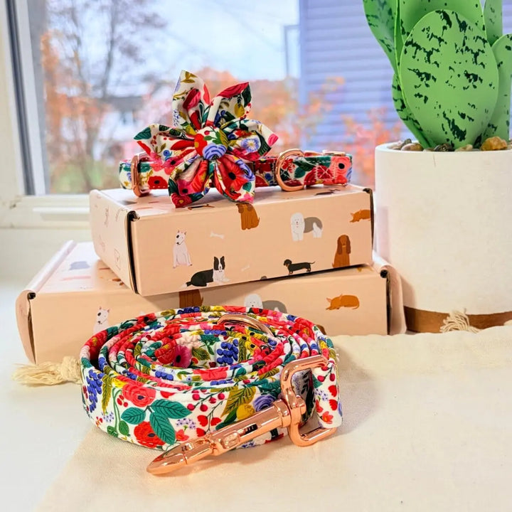 Morning Floral Signature Band™ + Slide-On Bloomtie™ + Joyline™ Flower Collar & Leash Set Sniff & Bark™