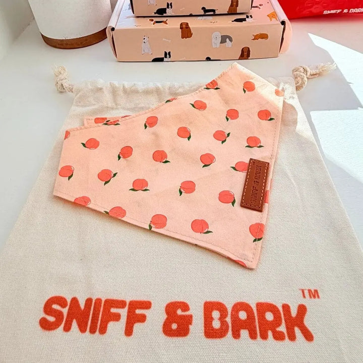 Peach Blush Flairtie™ Bandana – 100% Cotton Bandana Sniff & Bark™