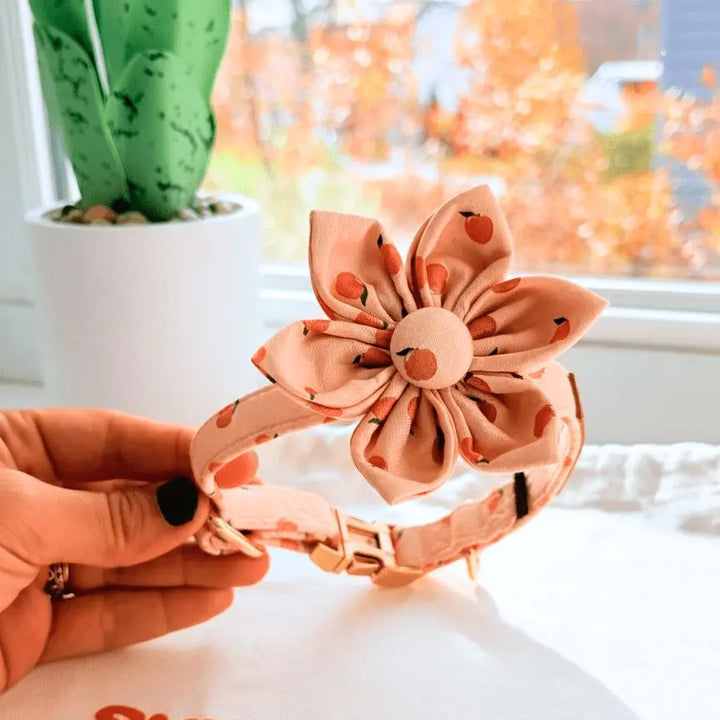 Peach Blush Signature Band™ + Slide-On Bloomtie™ Flower Collar Sniff & Bark™
