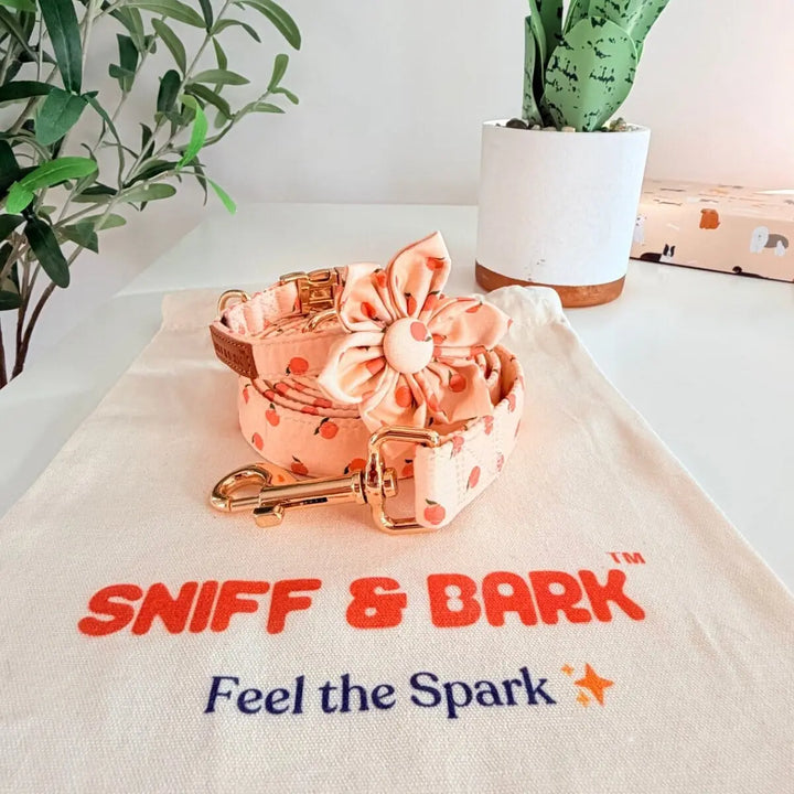 Peach Blush Signature Band™ + Slide-On Bloomtie™ + Joyline™ Flower Collar & Leash Set Sniff & Bark™
