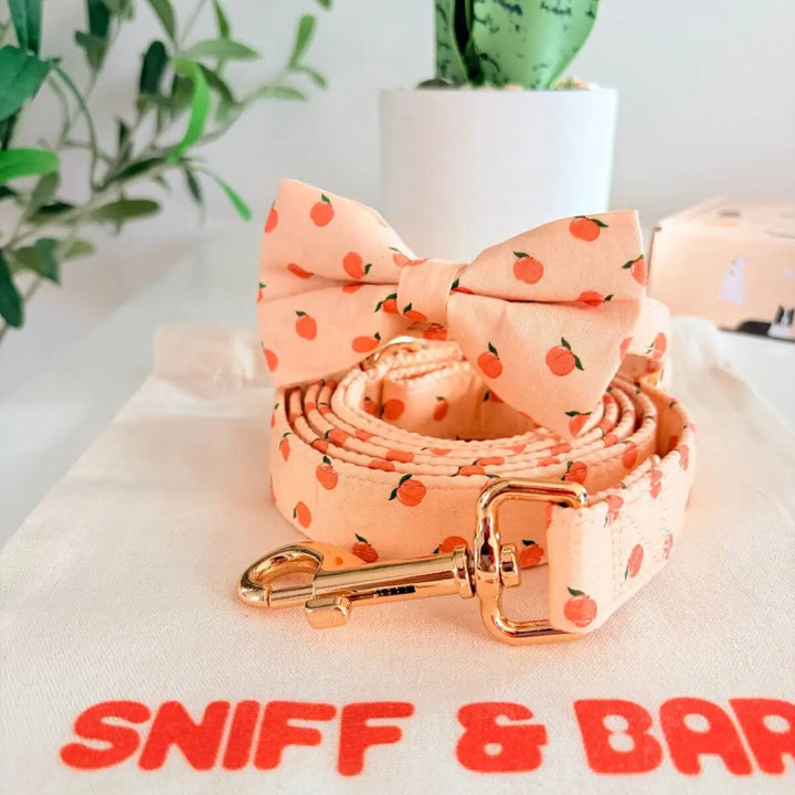 Peach Blush Signature Band™ + Slide-On Dappertie™ + Joyline™ Bowtie Collar & Leash Set Sniff & Bark™