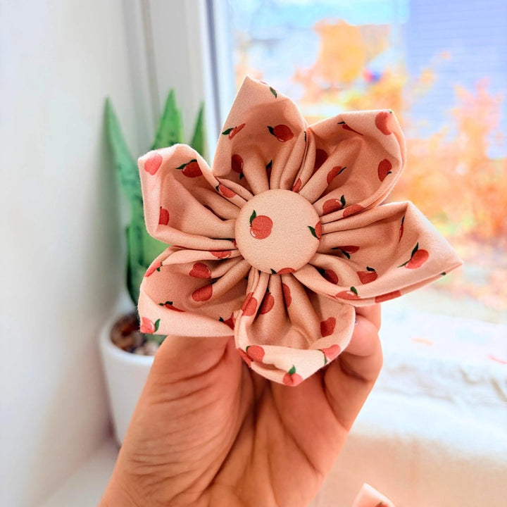 Peach Blush Signature Bloomtie - Flower Tie – Sniff & Bark dog accessory