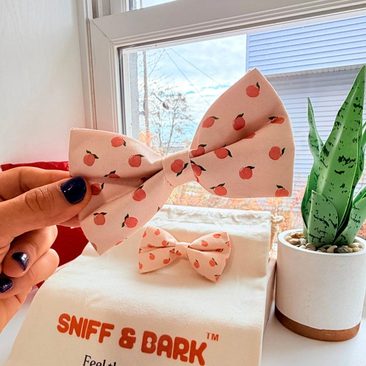 Peach blush Dappertie – Sleek Slide-On Bowtie – Sniff & Bark dog accessory