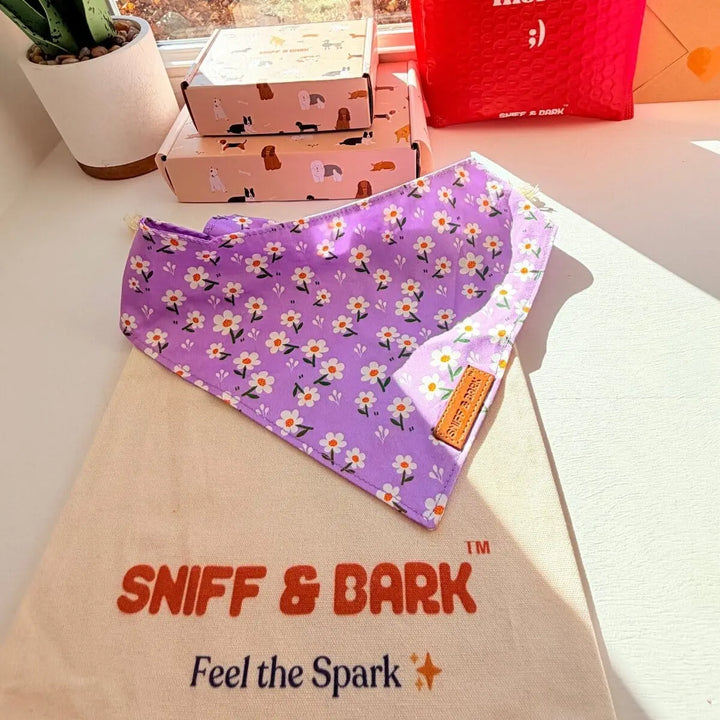Purple Daisy Flairtie™ Bandana – 100% Cotton Bandana Sniff & Bark™