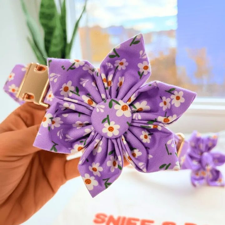 Purple Daisy Signature Band™ + Slide-On Bloomtie™ Flower Collar Sniff & Bark™
