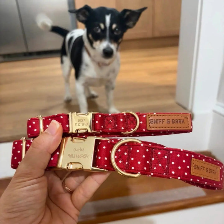 Red Currant Polka Dot Signature Band - Crafted Collar – Sniff & Bark dog accessory