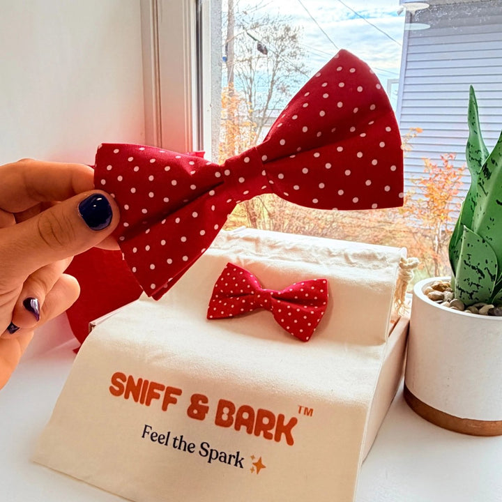 Bright Red Polka Dot Dappertie – Sleek Slide-On Bowtie – Sniff & Bark dog accessory