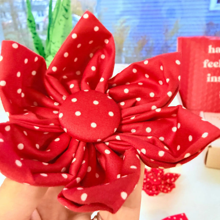 Bright Red Polka Dot Signature Bloomtie - Flower Tie – Sniff & Bark dog accessory
