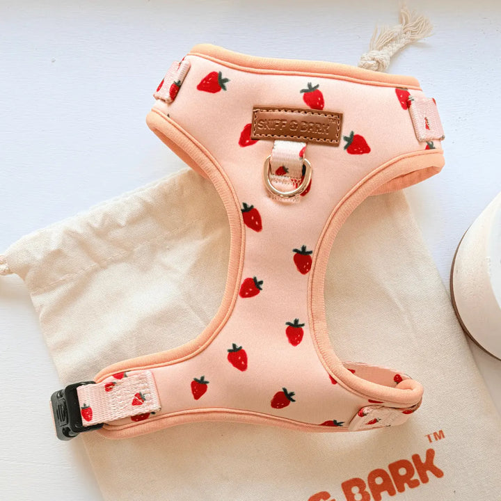 Rosie Strawberry No Pull Harness – Adjustable Bliss (D Ring) – Sniff & Bark dog accessory