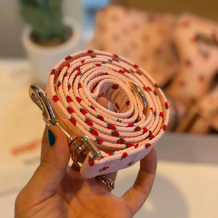 Rosie Strawberry Joyline™ Leash – 100 % Cotton Shell Leash Sniff & Bark™