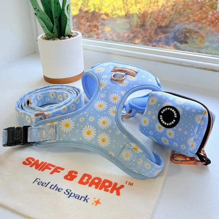 Sky Daisy AllSet Harness Matching Bundle (D Ring) – Sniff & Bark dog accessory