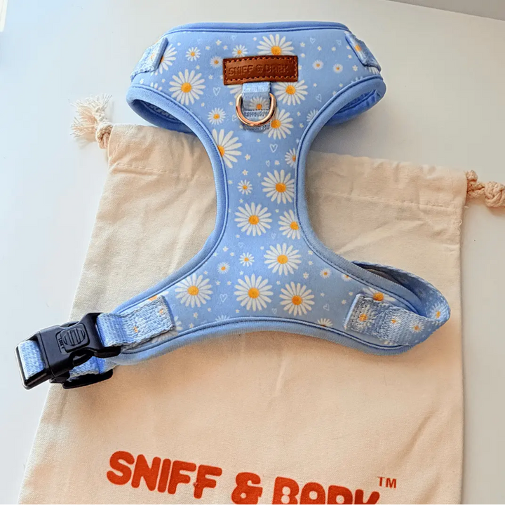 Sky Daisy Signature Bloomtie - Mega Bundle (D Ring) – Sniff & Bark dog accessory – view 4
