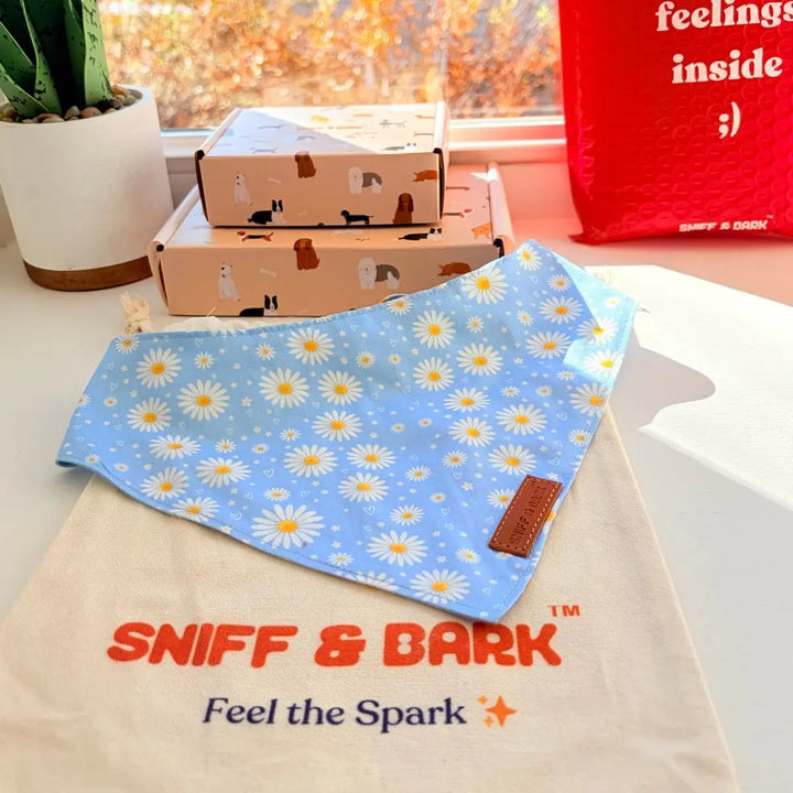 Sky Daisy Flairtie Bandana – 100% Cotton – Sniff & Bark dog accessory