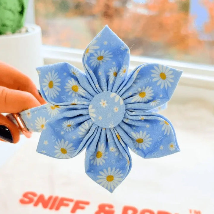 Sky Daisy Signature Band™ + Slide-On Bloomtie™ Flower Collar Sniff & Bark™