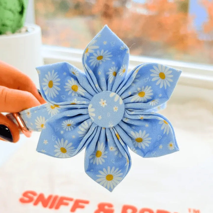 Sky Daisy Signature Bloomtie - Flower Tie – Sniff & Bark dog accessory