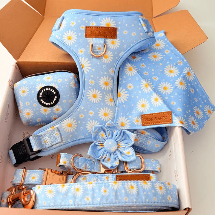 Sky Daisy Signature Bloomtie - Mega Bundle (D Ring) – Sniff & Bark dog accessory