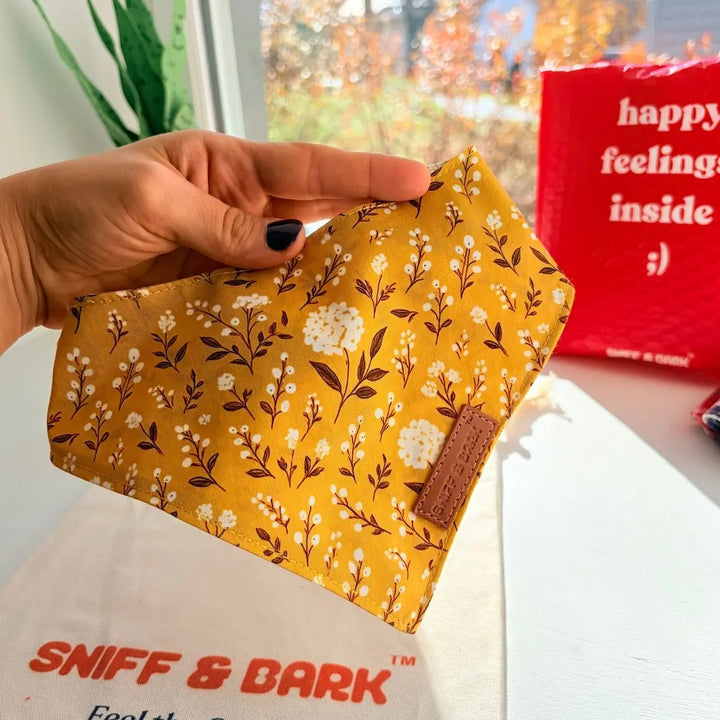Sunny Daisy Flairtie Bandana – 100% Cotton – Sniff & Bark dog accessory