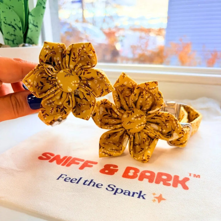 Sunny Daisy Signature Band™ + Slide-On Bloomtie™ Flower Collar Sniff & Bark™