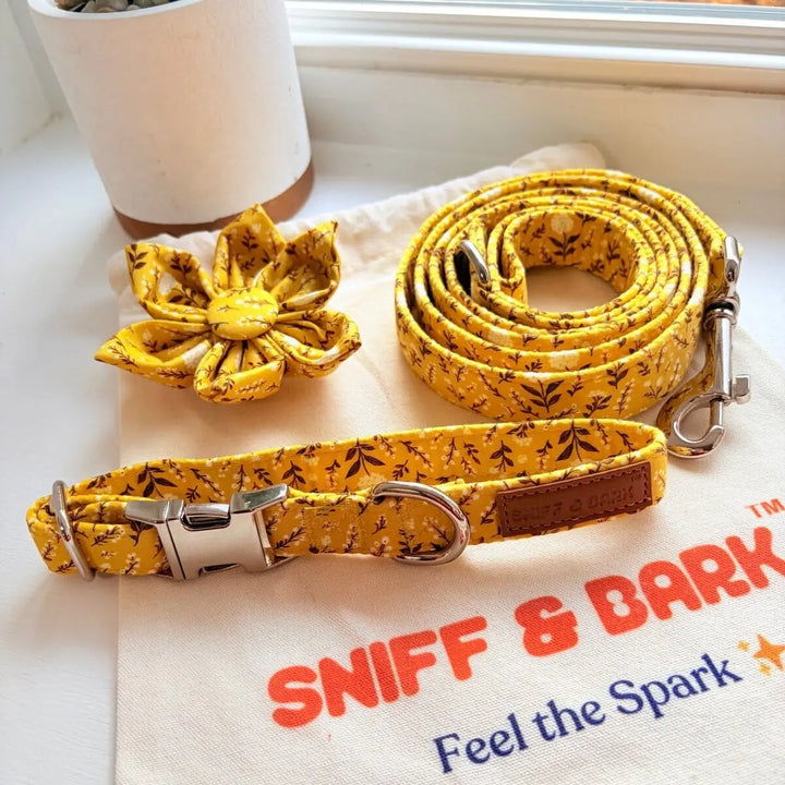 Sunny Daisy Signature Band™ + Slide-On Bloomtie™ + Joyline™ Flower Collar & Leash Set Sniff & Bark™