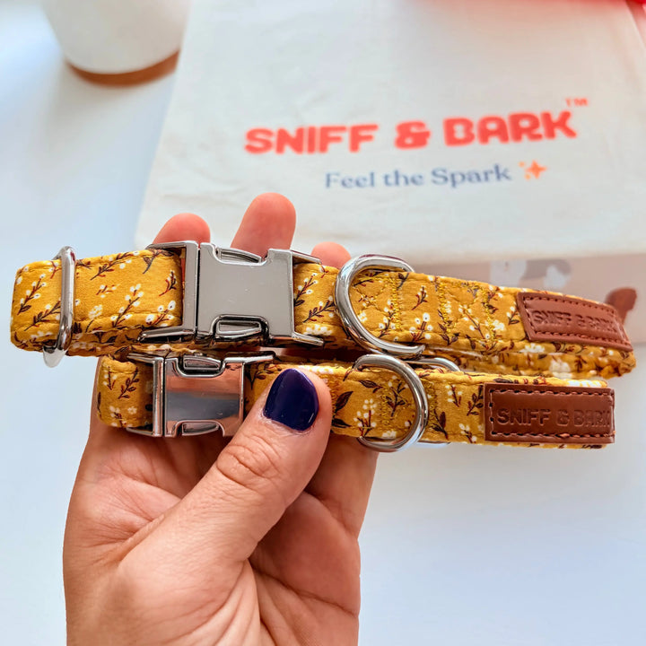 Sunny Daisy Signature Band™ + Slide-On Bloomtie™ + Joyline™ Flower Collar & Leash Set Sniff & Bark™