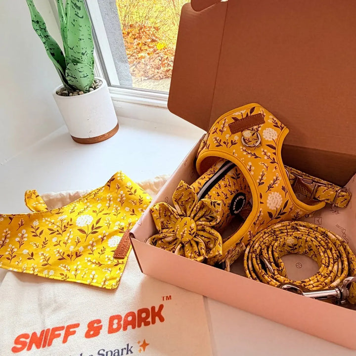 Sunny Daisy Signature Bloomtie - Mega Bundle (D Ring) – Sniff & Bark dog accessory