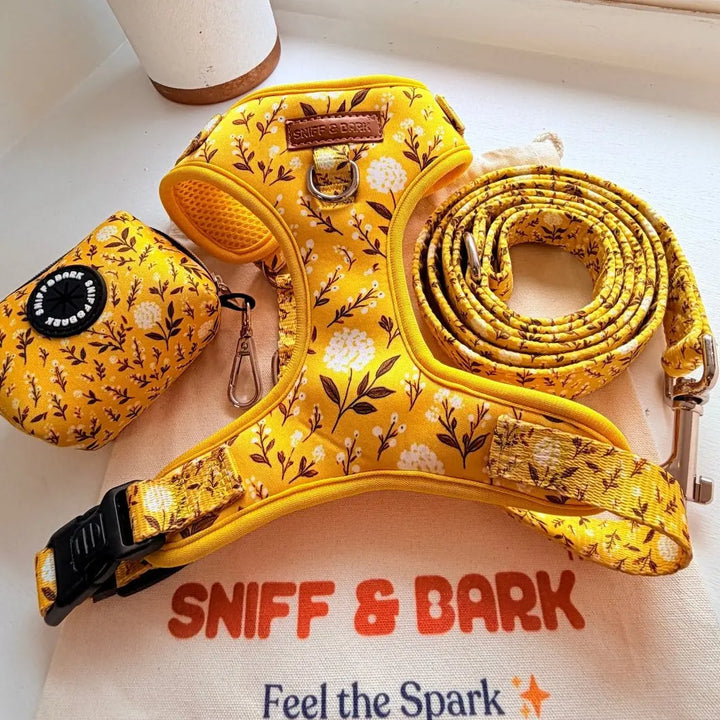 Sunny Daisy Signature Bloomtie - Mega Bundle (D Ring) – Sniff & Bark dog accessory – view 2