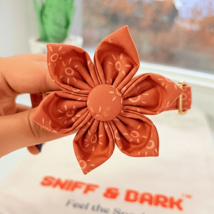 Amber Suns Signature Band™ + Slide-On Bloomtie™ Flower Collar Sniff & Bark™
