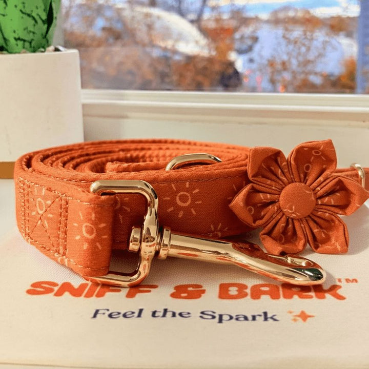 Amber Suns Signature Band™ + Slide-On Bloomtie™ + Joyline™ Flower Collar & Leash Set Sniff & Bark™